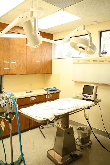 VCA Westmoreland Animal Hospital 9