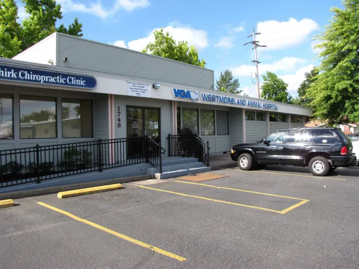 VCA Westmoreland Animal Hospital 8