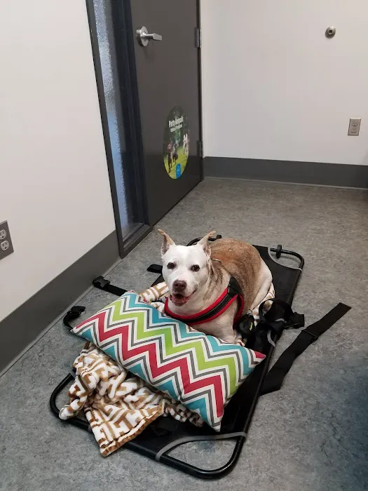 VCA Westmoreland Animal Hospital 7