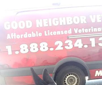 Good Neighbor Vet