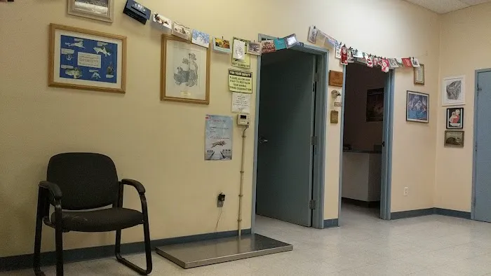 Shadow Hills Pet Clinic 5