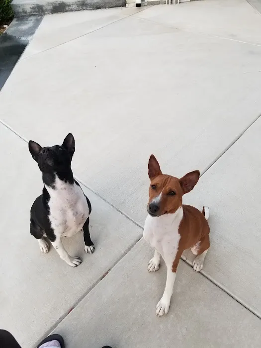 Shadow Hills Pet Clinic 4