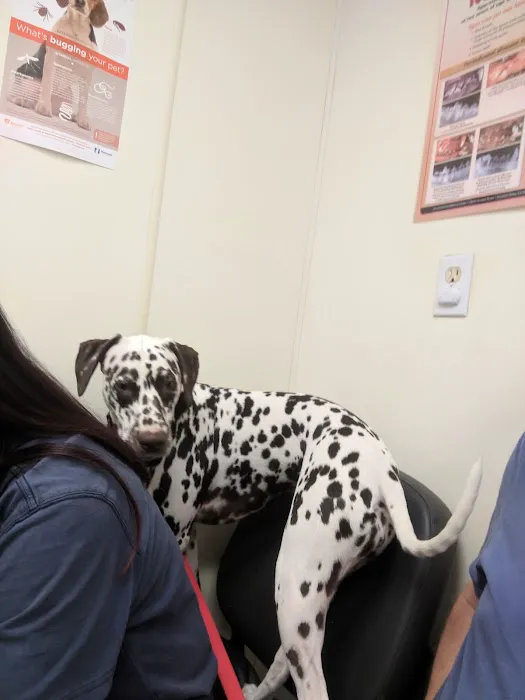 Pet Medical Center- Sunland 1