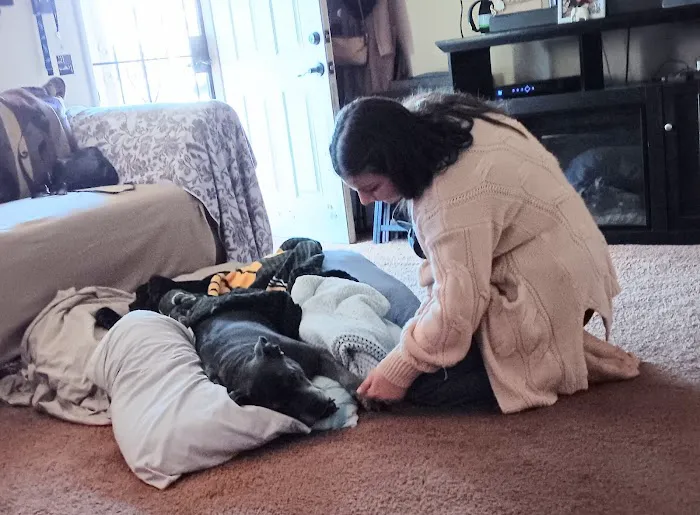 Green Meadows Veterinary Care - In Home Pet Euthanasia 6