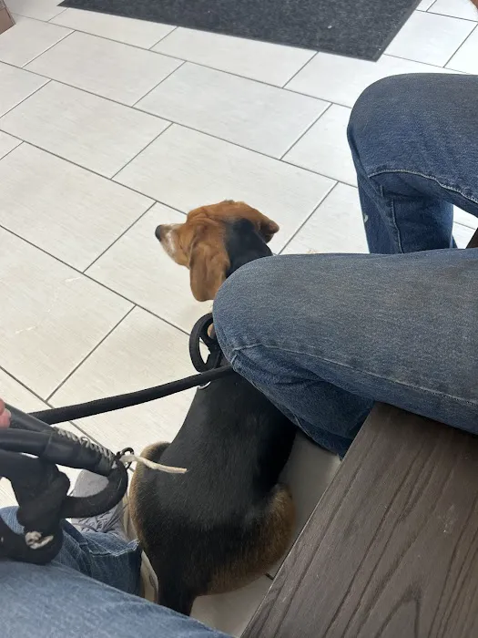 Panorama Pet Hospital 7