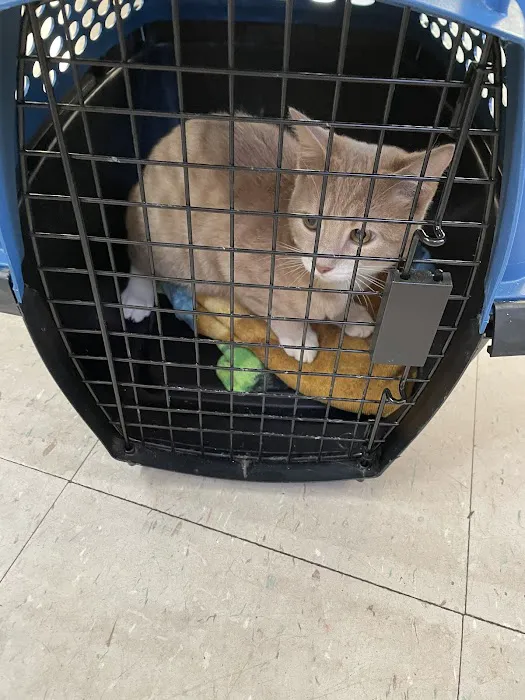 Valley Animal Hospital 4