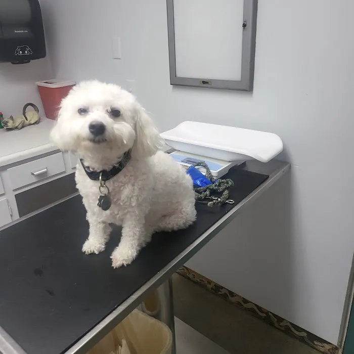 Valley Animal Hospital 9
