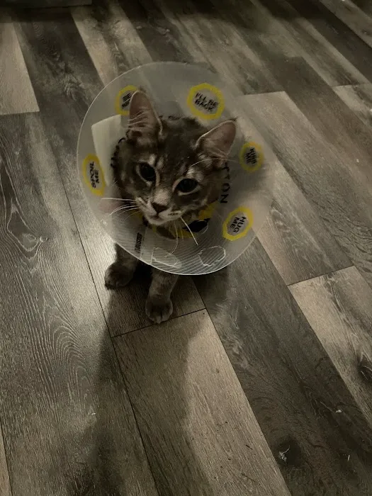 Valley Animal Hospital 7
