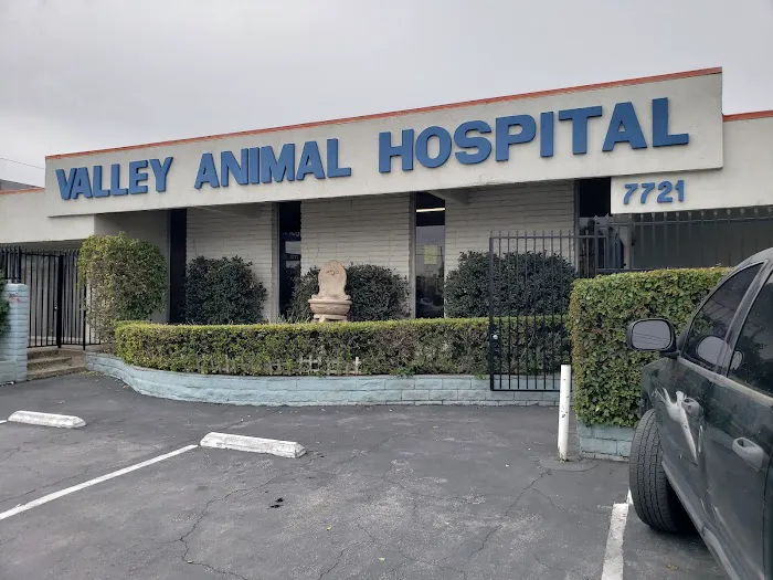 Valley Animal Hospital 10