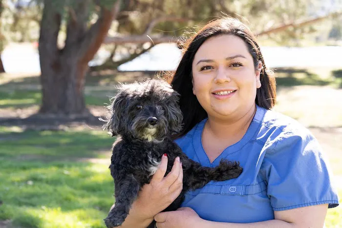 Lake Balboa Veterinary Care 12