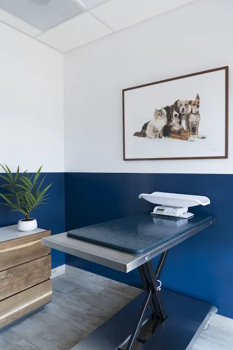 Lake Balboa Veterinary Care 12