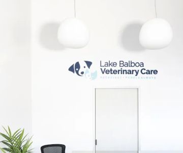 Lake Balboa Veterinary Care