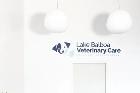 Lake Balboa Veterinary Care