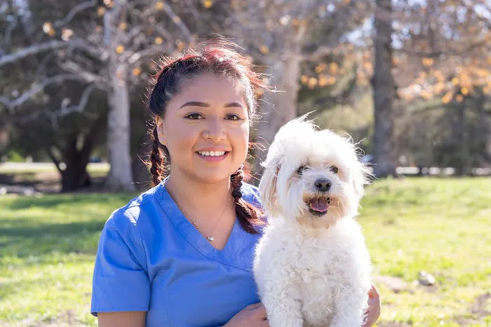 Lake Balboa Veterinary Care 12
