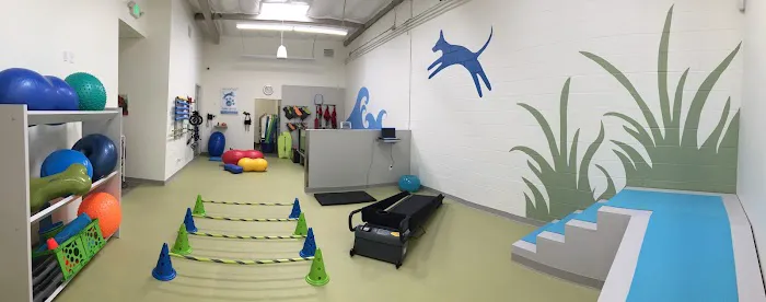 PAW REHAB Pacific Animal Wellness Rehabilitation Center 12