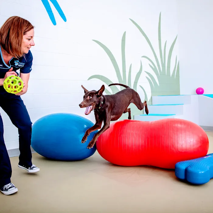 PAW REHAB Pacific Animal Wellness Rehabilitation Center 12