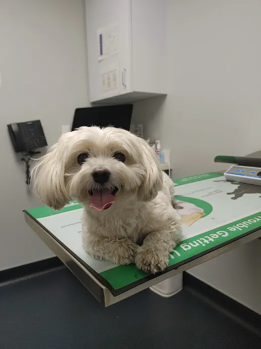 McGrath Veterinary Center 12
