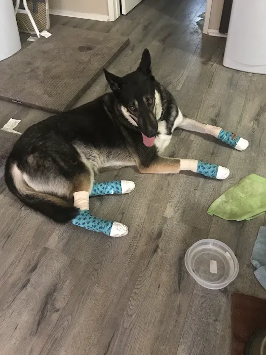 McGrath Veterinary Center 12