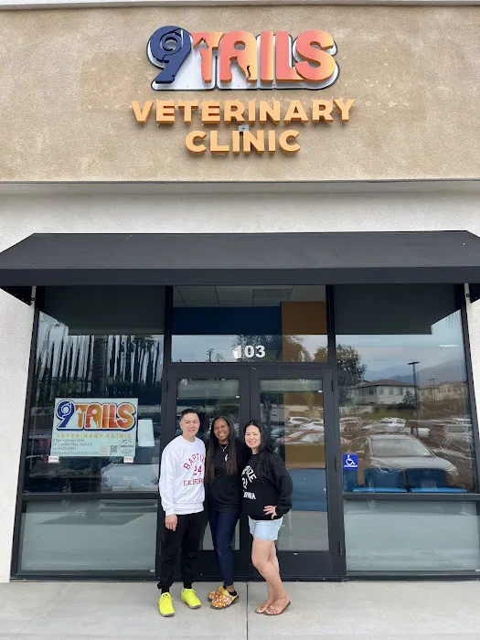 9Tails Veterinary Clinic 9