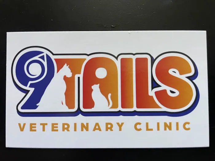 9Tails Veterinary Clinic 1