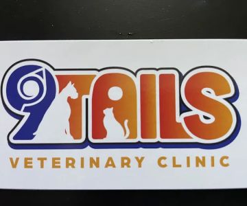 9Tails Veterinary Clinic