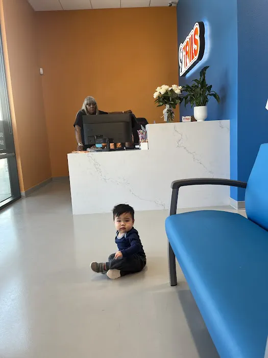 9Tails Veterinary Clinic 5