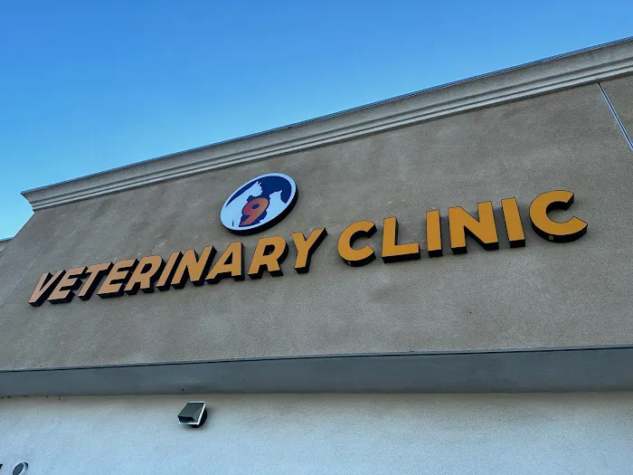 9Tails Veterinary Clinic 10
