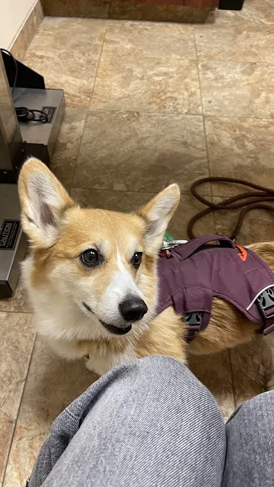 Animal Hospital of Eagle Glen 3