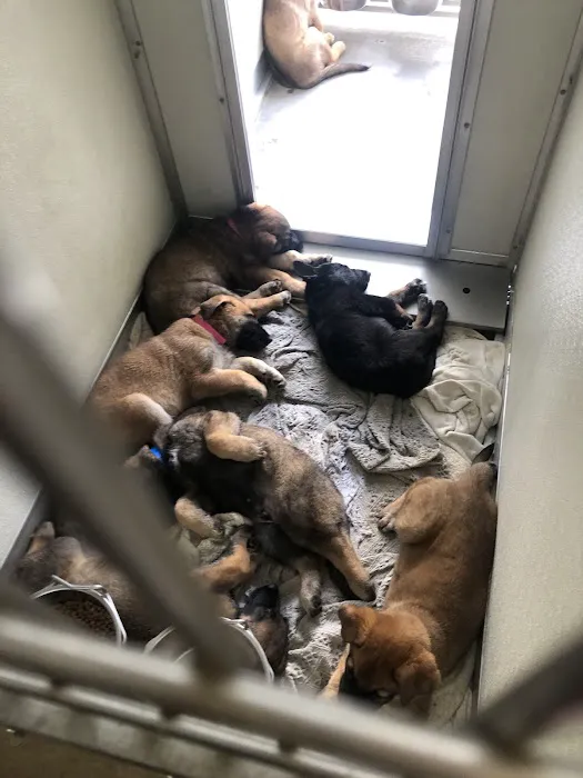 Animal Hospital of Eagle Glen 1
