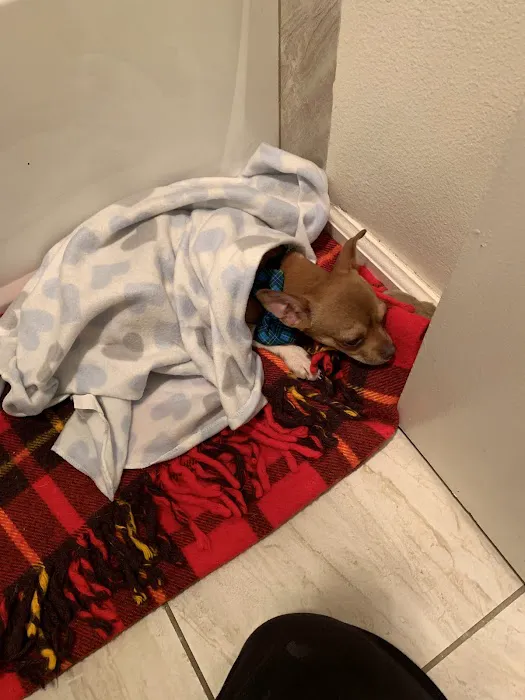 Banfield Pet Hospital 6