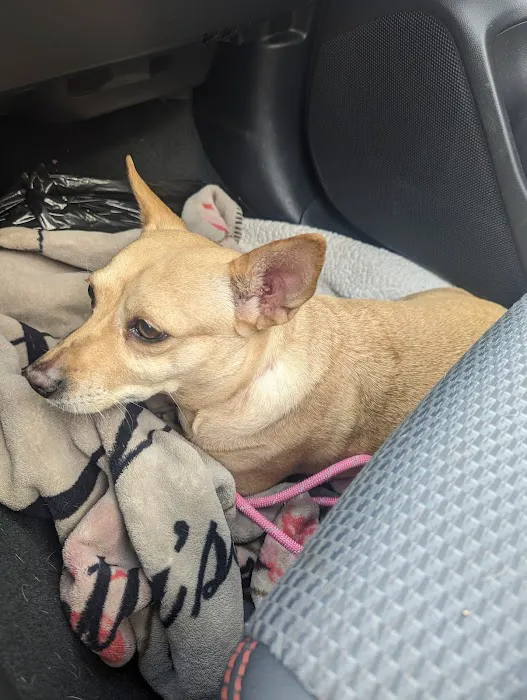 Banfield Pet Hospital 10