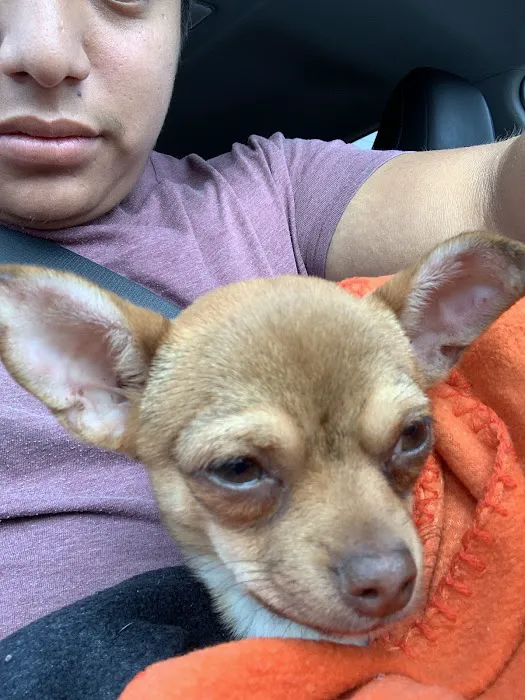 Banfield Pet Hospital 5