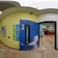Banfield Pet Hospital ico