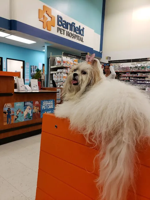 Banfield Pet Hospital 3
