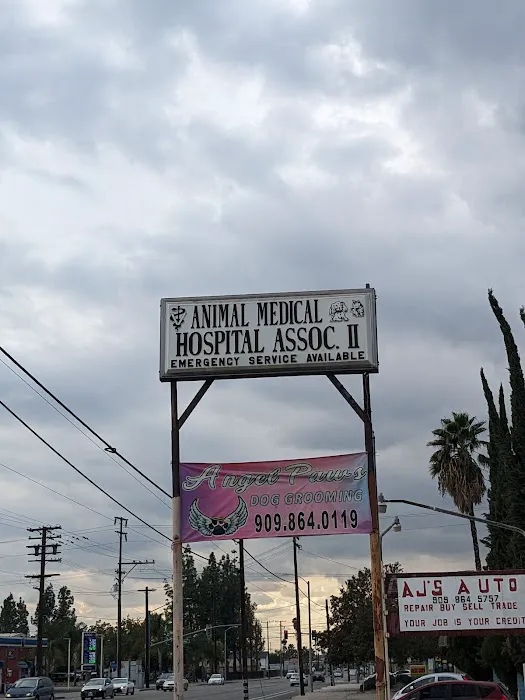 Animal Medical Hospital Association 12