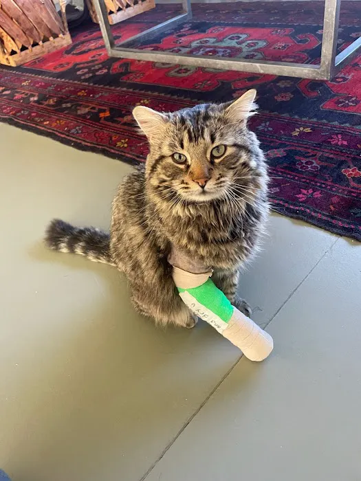 Pet Hospital of Redlands + Urgent Care 12