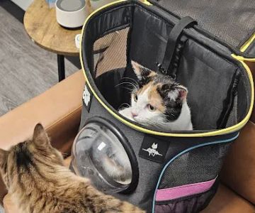 Pet Hospital of Redlands + Urgent Care