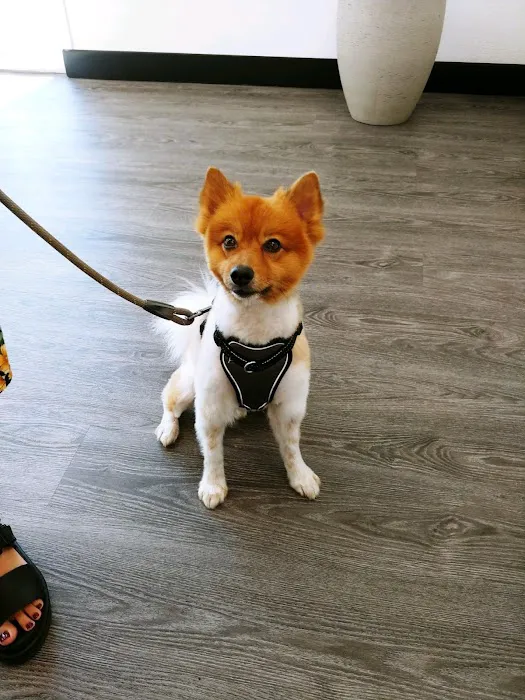 Pet Hospital of Redlands + Urgent Care 12
