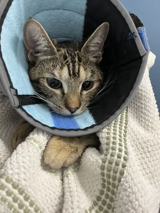 Emergency Pet Hospital of Redlands 1