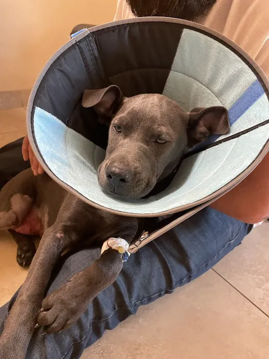 Emergency Pet Hospital of Redlands 4