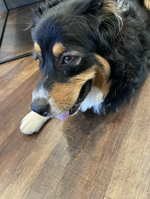 Veterinary Emergency Center of Redlands 7