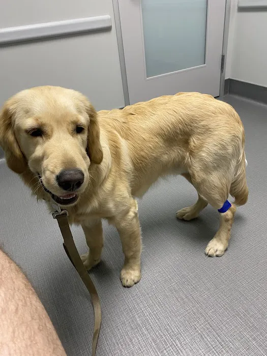 Veterinary Emergency Center of Redlands 9
