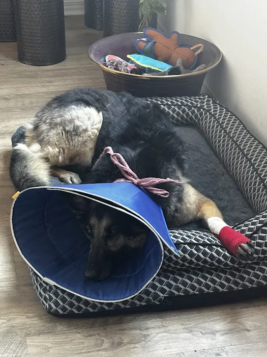 Veterinary Emergency Center of Redlands 5