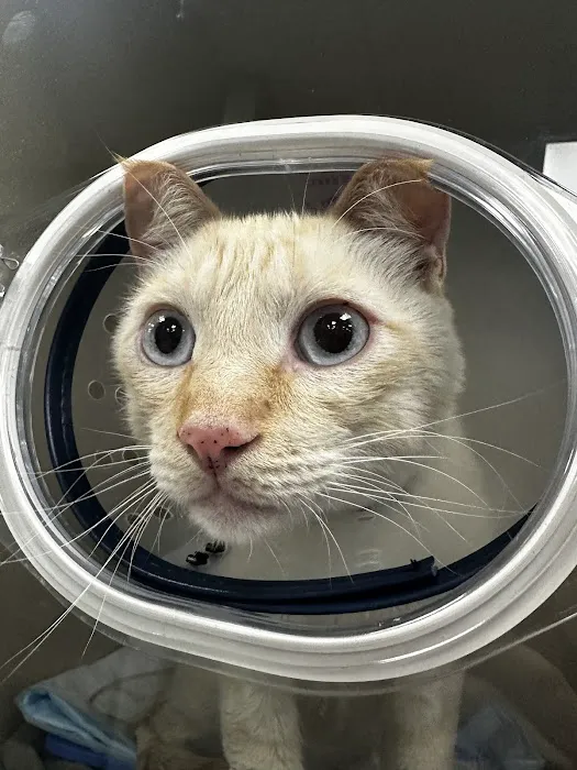 Veterinary Emergency Center of Redlands 6