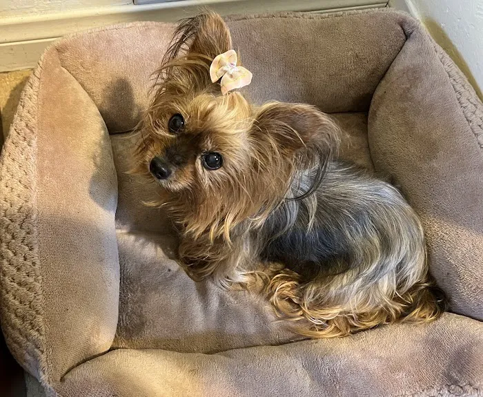 Redlands Animal Hospital, Inc. 7