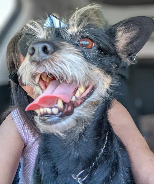 Redlands Animal Hospital, Inc. 5