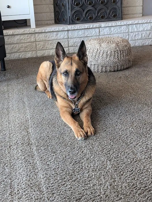 Redlands Animal Hospital, Inc. 6