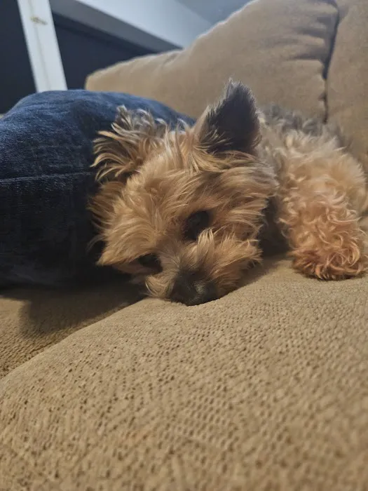 Redlands Animal Hospital, Inc. 3