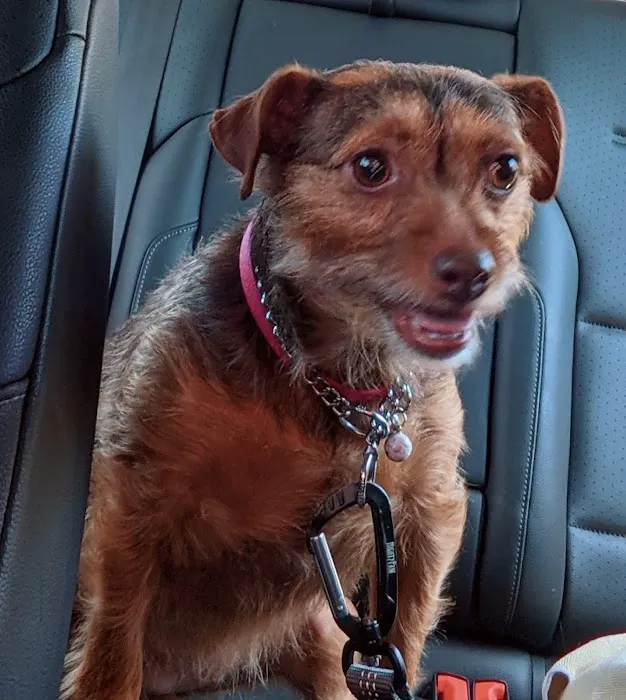 Redlands Animal Hospital, Inc. 9