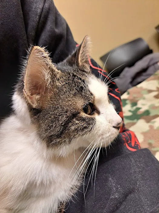 Animal Emergency Care 12